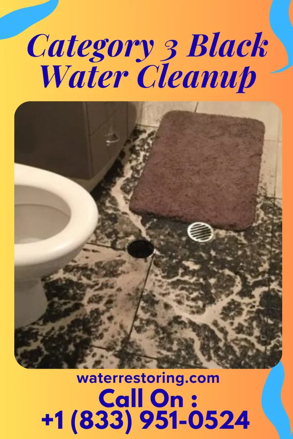 Category 3 Black Water Cleanup in Overly, ND