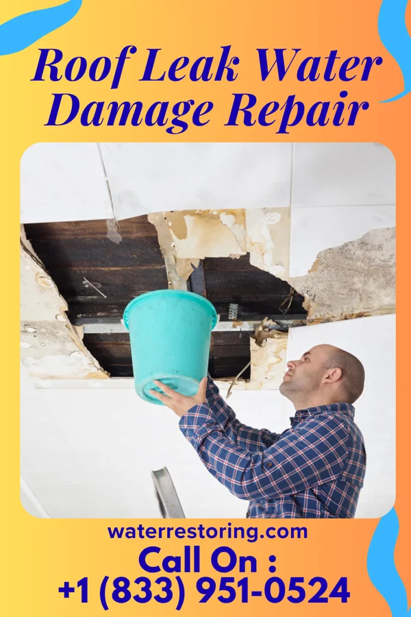 Roof Leak Water Damage Repair in Overly, ND