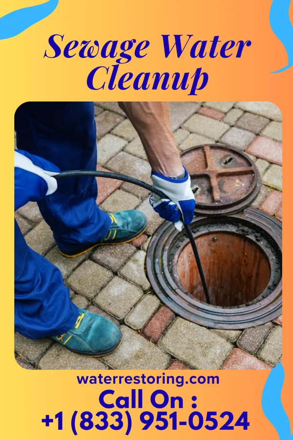 Sewage Water Cleanup in Overly, ND